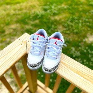 Jordan 3 “ Hall of Fame “🩸